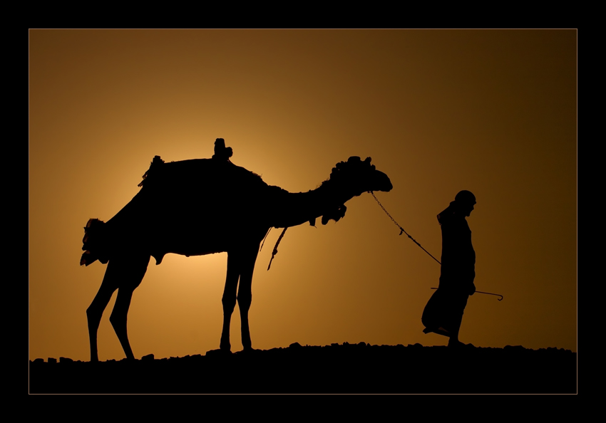 арабский язык верблюд